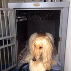 Zinger Deluxe Dog Crate with Front Entry