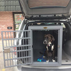 Zinger Professional Dog Crate with Front Entry