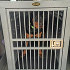 Zinger Deluxe Dog Crate with Front Entry