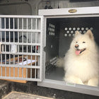 Zinger Professional Dog Crate with Front Entry