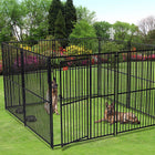 Lucky Dog Kennel in European Style 10'x10'