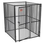 Lucky Dog European Style Modular Kennel 5'x5'