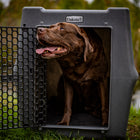 Dakota 283 CRaTE – “Canine Rough and Tough Economy” Kennel Intermediate