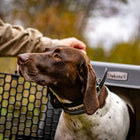 Dakota 283 CRaTE – “Canine Rough and Tough Economy” Kennel Intermediate