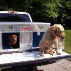 Owens Dog Box 55006 Hunter Series Double Compartment with Top Storage