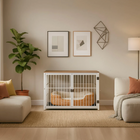 OnePaw Ares dog crate in a living room setting with decor elements.