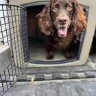 Dakota 283 T1 Low Profile Kennel