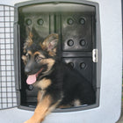 Dakota 283 Forever Insert Large Kennel Divider for Puppies
