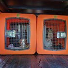 Dakota 283 G3 Large Framed Kennel