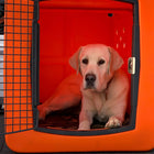 Dakota 283 G3 Large Framed Kennel