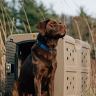 Dakota 283 G3 Large Framed Kennel