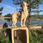 Dakota 283 G3 Large Framed Kennel