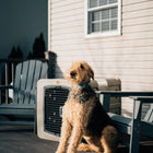 Dakota 283 G3 Large Framed Kennel