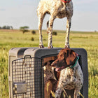 Dakota 283 G3 Medium Framed Kennel