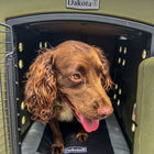 Dakota 283 G3 Medium Framed Kennel