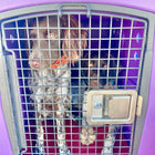 Dakota 283 G3 Medium Framed Kennel