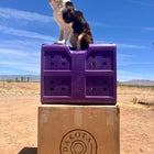 Dakota 283 G3 Medium Framed Kennel
