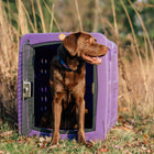 Dakota 283 G3 Medium Framed Kennel