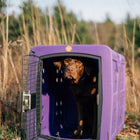 Dakota 283 G3 Medium Framed Kennel