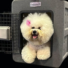 Dakota 283 G3 Small Framed Kennel