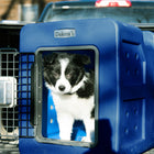 Dakota 283 G3 Small Framed Kennel