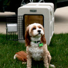 Dakota 283 G3 Small Framed Kennel