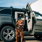Dakota 283 Hero Kennel