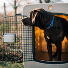 Dakota 283 G3 X-Large Framed Kennel