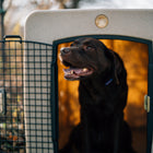 Dakota 283 G3 X-Large Framed Kennel