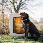 Dakota 283 G3 X-Large Framed Kennel
