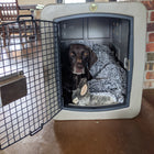 Dakota 283 G3 Medium Framed Kennel