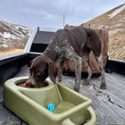 Dakota 283 Dine N Dash – Feeding and Watering System