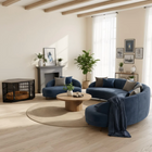 OnePaw EIRENE modern living room with blue sofa, wooden coffee table, and pet crate.