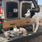 Dakota 283 G3 Medium Framed Kennel