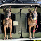 Dakota 283 G3 X-Large Framed Kennel
