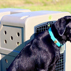 Dakota 283 G3 Large Framed Kennel