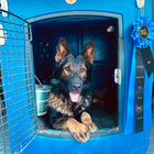 Dakota 283 G3 X-Large Framed Kennel
