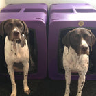 Dakota 283 G3 Large Framed Kennel