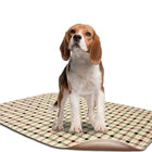 Lakeside Washable LennyPads