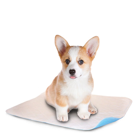 Lakeside Washable LennyPads