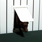 Lakeside Magnador 2-Way Pet Door
