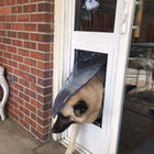 Security Boss MaxSeal Lockable Patio Pet Door Insert and a dog