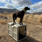 Dakota 283 G3 Medium Framed Kennel