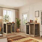 Modern living room with pet crates and a rug.