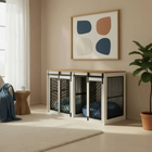 Modern interior with pet crates and abstract art on the wall