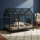 Dog inside a large black metal dog crate against a blue wall.