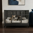 Two dogs inside a large metal pet crate in a room with a couch and wall art.