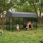 Outdoor dog kennel with two dogs inside, surrounded by trees and a pool.