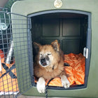 Dakota 283 G3 Large Framed Kennel