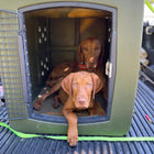 Dakota 283 G3 Large Framed Kennel